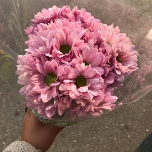 Meet your Posher, Denisse!